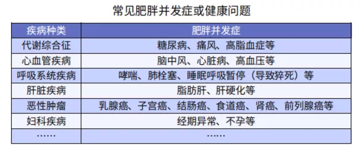 太胖被拒保怎么辦？