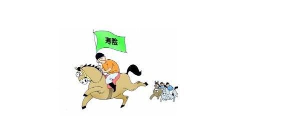為什么我不建議有些人買壽險？這里有你想要的答案