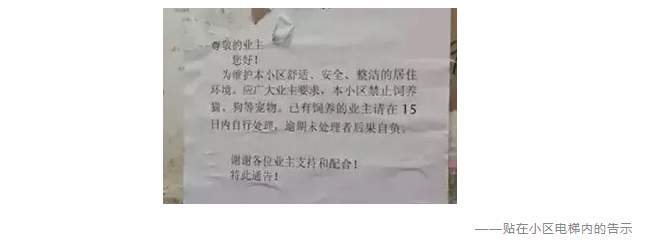 為什么不買保險(xiǎn)就不讓養(yǎng)狗？