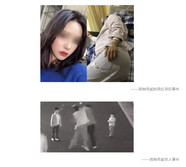 為什么不買保險(xiǎn)就不讓養(yǎng)狗？