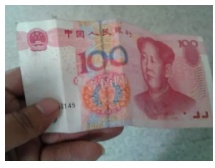 為什么不買保險(xiǎn)就不讓養(yǎng)狗？