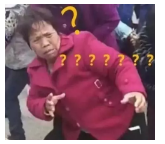 為什么不買保險(xiǎn)就不讓養(yǎng)狗？