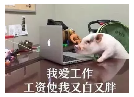發(fā)生車禍如何快速理賠？