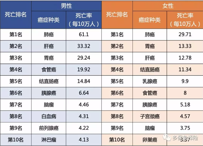 女性高發(fā)重疾怎么選？